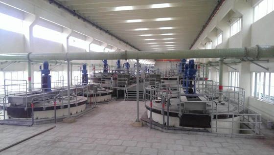 W020241121375660731456