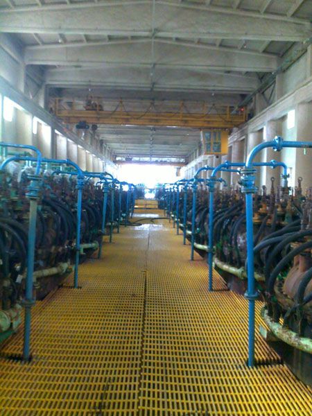 W020241121368835950708