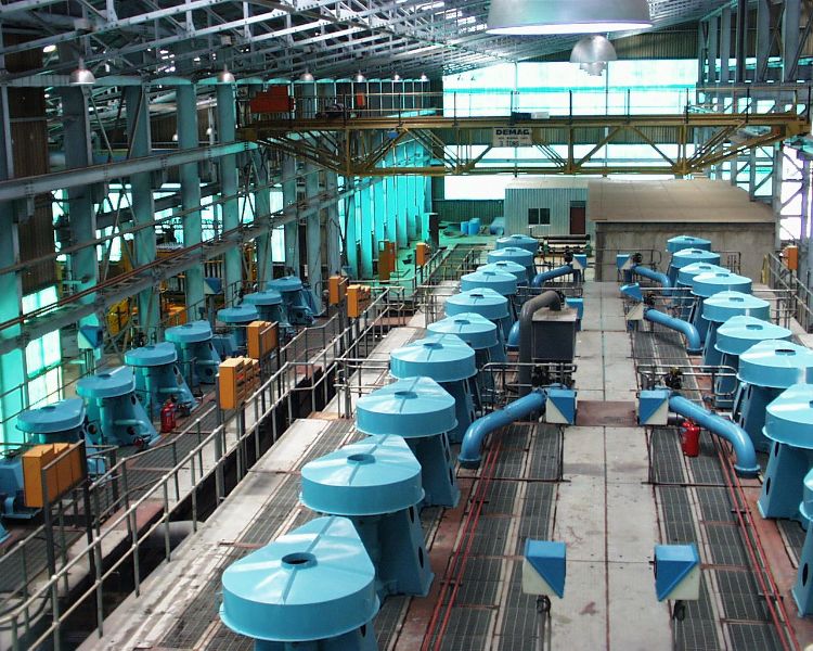 W020241121368831353178