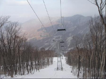 W020241119528352731092