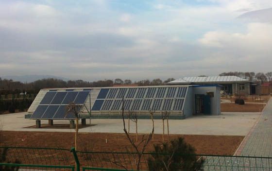 W020241119526078779103