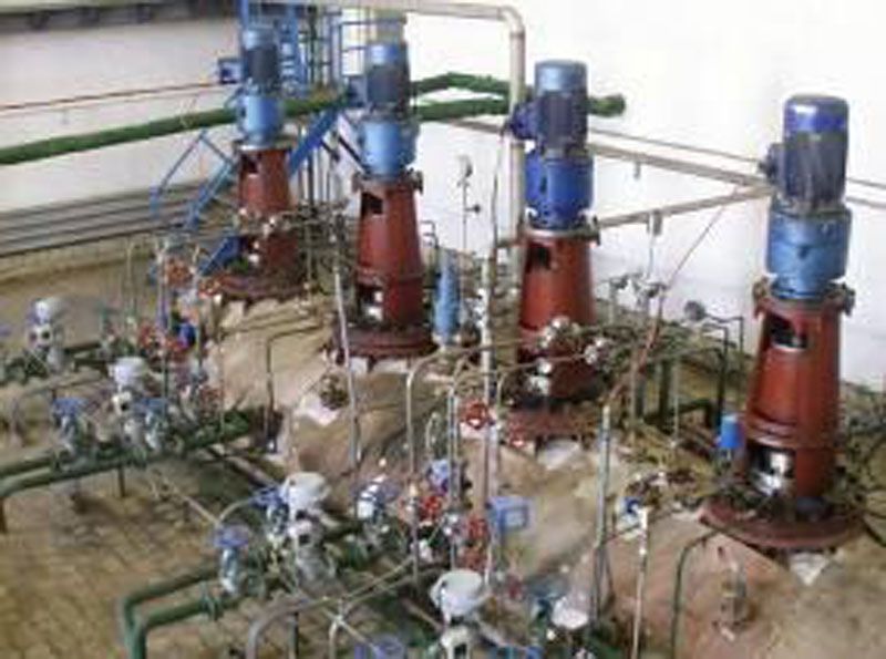 W020241119525556180340